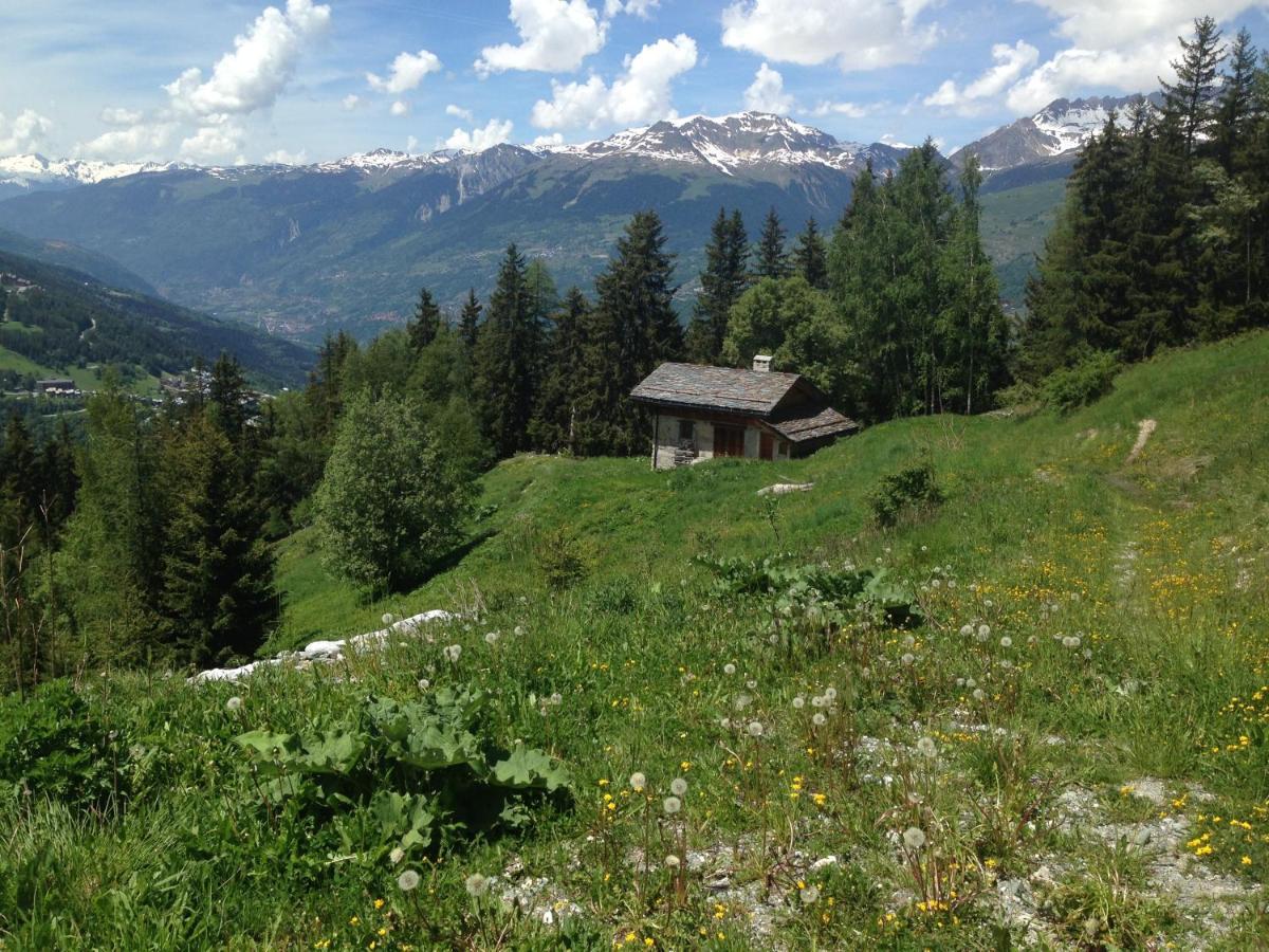 Petit Mont Blanc Villa Peisey-Nancroix Exterior foto